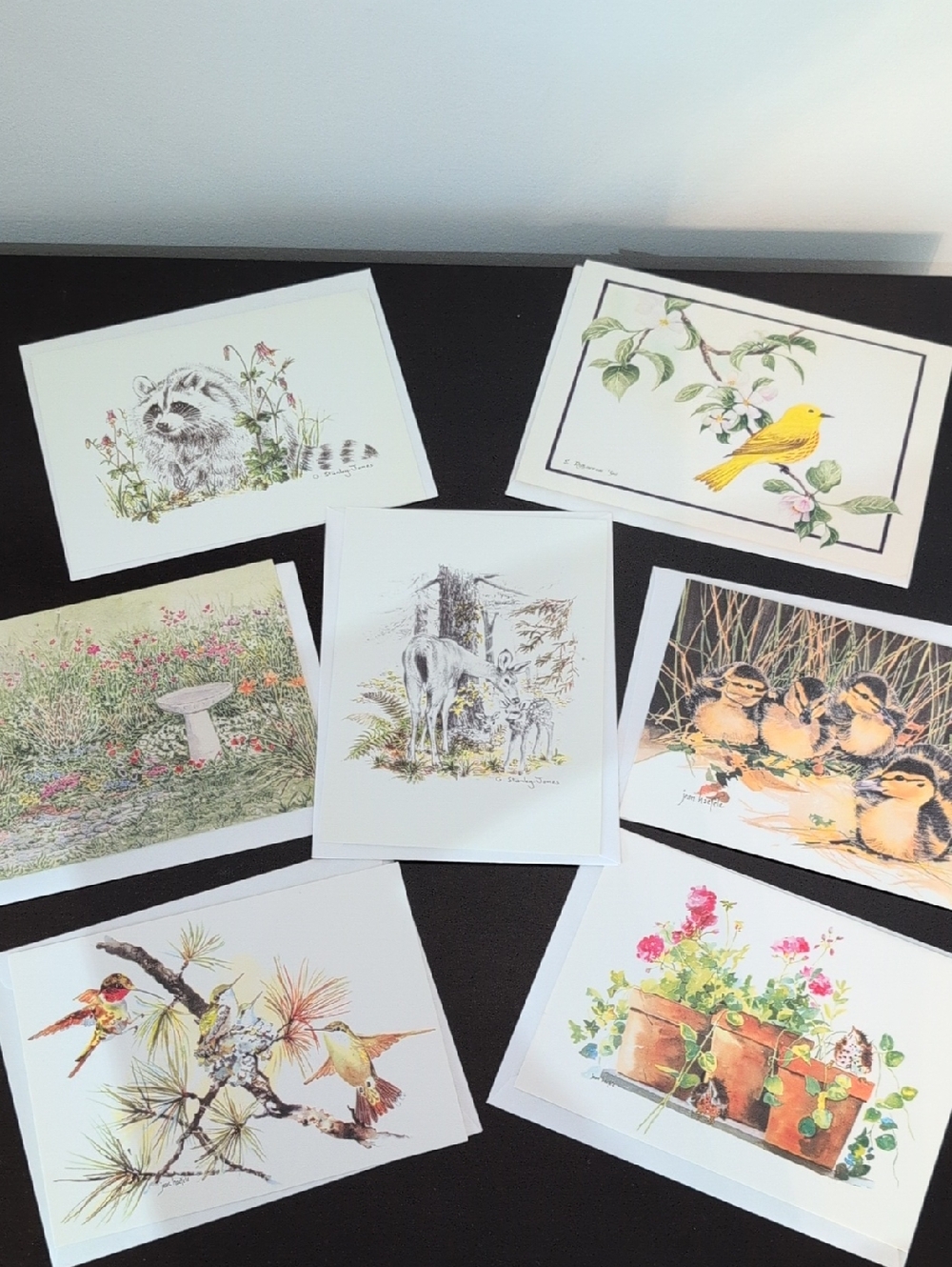 Set of 7 Vintage Nature Illustration Note Cards - 90s Stationary Ephemera